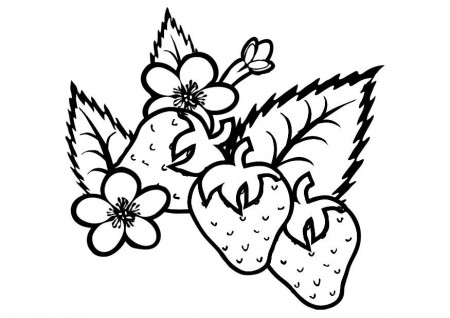 Coloring page strawberries - img 19169.