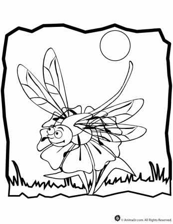 Dragonfly-coloring-4 | Free Coloring Page Site