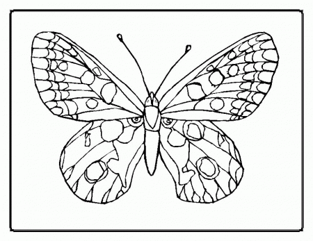 flowers printable coloring pages : Printable Coloring Sheet ~ Anbu 