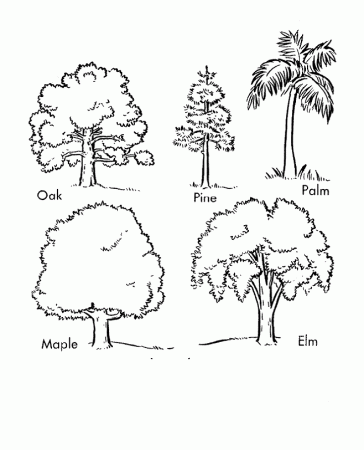 Study Trees Arbor Day Coloring Printout - Arbor Day Cartoon 