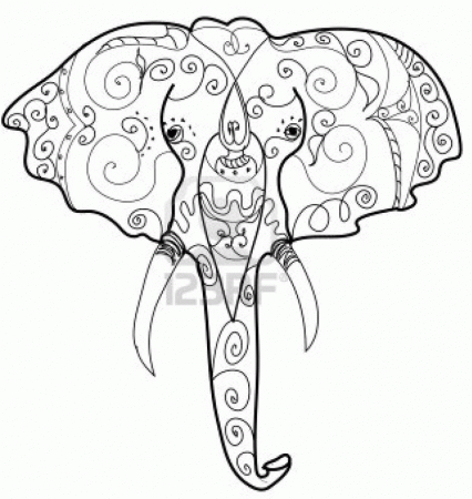 Indian Elephant | Ilustracion