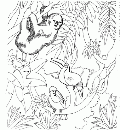 Zoo Animal | Free Printable Coloring Pages – Coloringpagesfun.com 