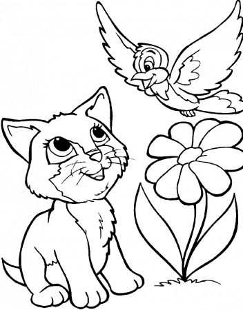 A Cat And Bird Coloring For Kids - animal Coloring Pages : Free 