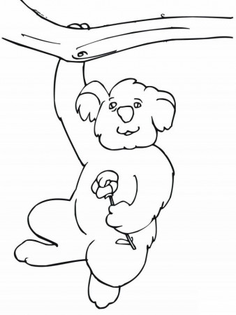 Print And Coloring Pages Koala For Kids | Coloring Pages