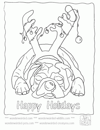 Happy Holidays Coloring Pages Blog 76 | KDNET