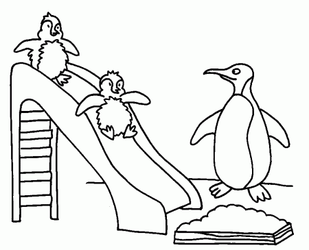 Printable Coloring Pages Penguins - High Quality Coloring Pages