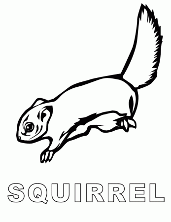 squirrel printable coloring in pages for kids - number 1825 online