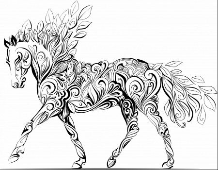 Horse Coloring Books | AdultcoloringbookZ