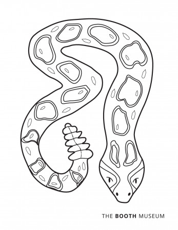 Rattlesnake Coloring Page | Booth Western Art Museum
