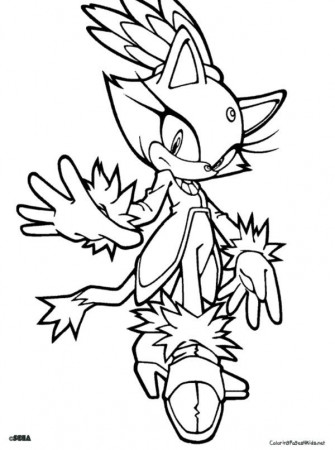 11 Pics of Sonic Style Coloring Pages - Sonic Blaze The Cat ...