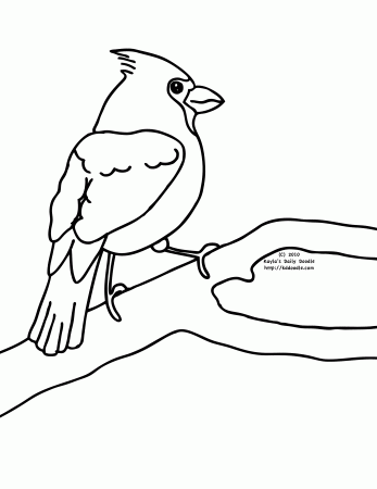 Cardinal Bird Coloring Page Printable - Get Coloring Pages