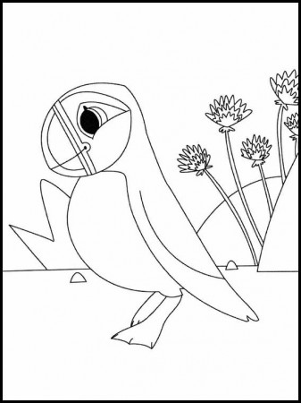 Puffin Rock Free Printable Coloring Pages 21