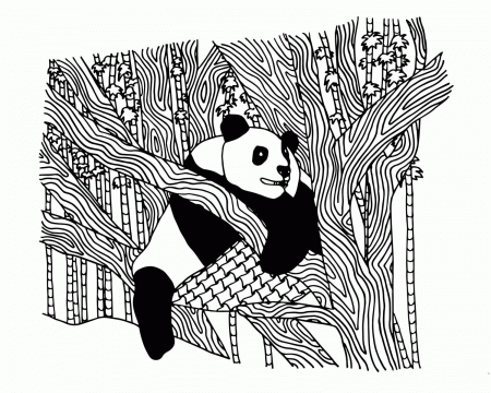 FREE Panda Coloring Page for Adults