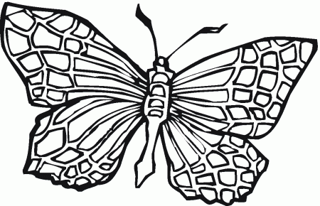 butterfly coloring pages free | Only Coloring Pages
