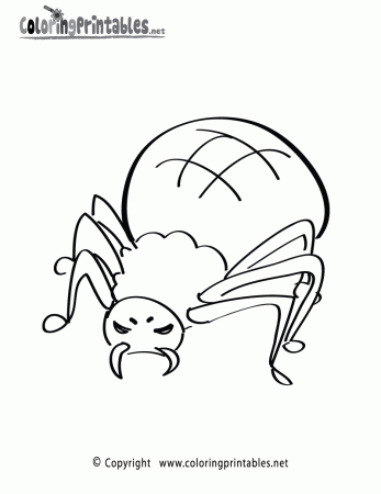 Spider Coloring Page - A Free Boys Coloring Printable