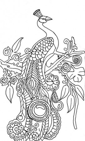 Simple Peacock Coloring Sheet - Pa-g.co