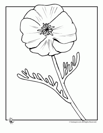 Poppy flowers coloring pages download and print for free