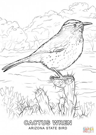 Arizona State Bird coloring page | Free Printable Coloring Pages