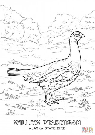 Coloring Page Of Alabama State Bird - Coloring