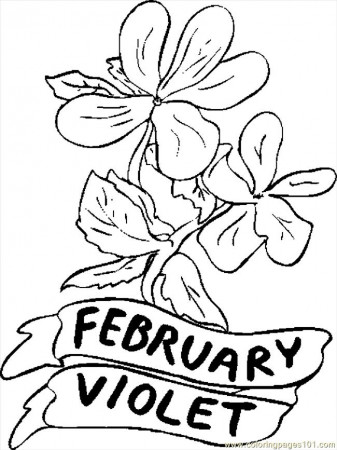 02 February Violet 1 Coloring Page - Free Flowers Coloring Pages :  ColoringPages101.com