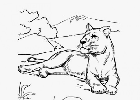 Free Coloring Pages and Coloring Books for Kids: Lioness coloring page