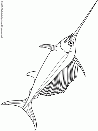 Swordfish Coloring Page | Audio Stories for Kids | Free Coloring Pages |  Colouring Printables