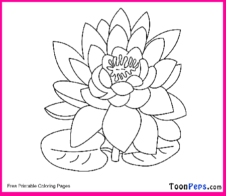 Toonpeps : Free Printable Flower coloring pages for kids