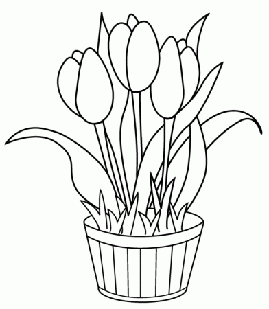 Tulip Coloring Page For Kids | 99coloring.com