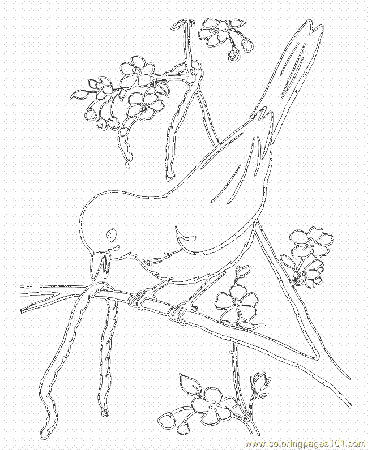 Coloring Pages 03 Spring 20 (Animals > Birds) - free printable 