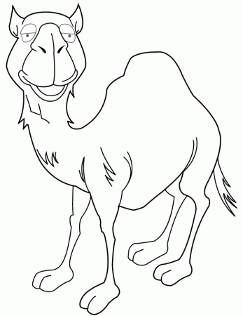 of cute camel Colouring Pages