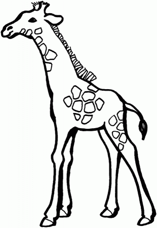 Giraffe - Free Printable Coloring Pages | Coloring books
