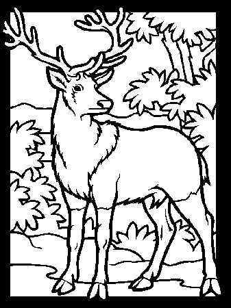 deer coloring pages | Coloring Picture HD For Kids | Fransus 