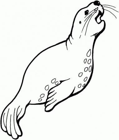 Sea Life Online Coloring Pages Page Baby Seal Coloring Pages 