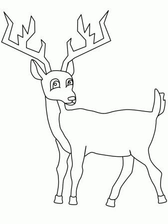 Buck Coloring Pages - Category