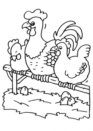 Coloring page rooster and chickens - img 6502.