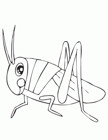 grasshopper coloring page | Coloring Picture HD For Kids | Fransus 