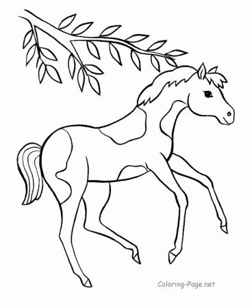 horse coloring pages pinto pony