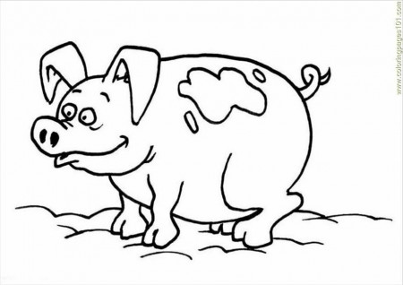Coloring Pages Ctures Pages Photo Pig P (Mammals > Pig) - free 
