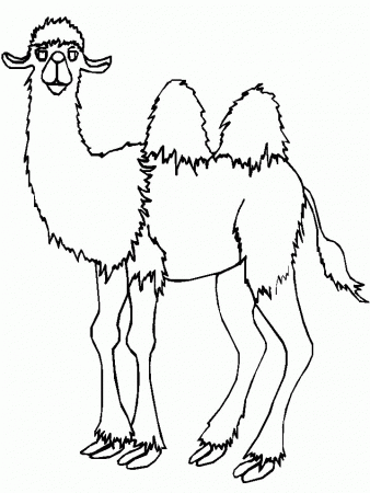 Camel Coloring Pages 58 | Free Printable Coloring Pages