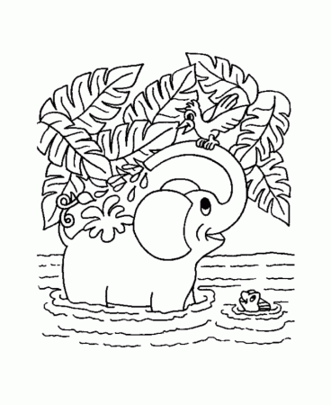 Jungle Coloring Pages | Coloring Kids