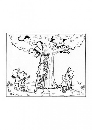 Coloring page fireman rescues cat in tree - img 9642.