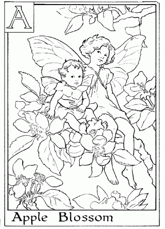 Flower Fairies Coloring Pages - Flower Coloring Page