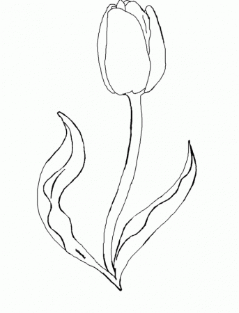 Spring Flower Tulip Coloring Pages | Find Coloring