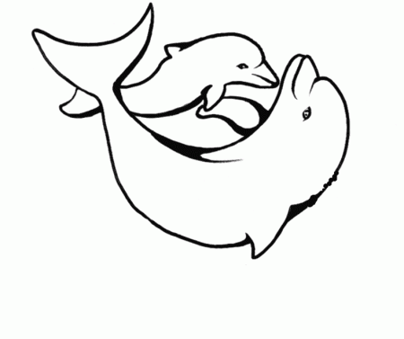 Dolphin And Mermaid Coloring Pages | Clipart Panda - Free Clipart 