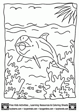 Mom And Baby Dolphin Coloring Page For Kids