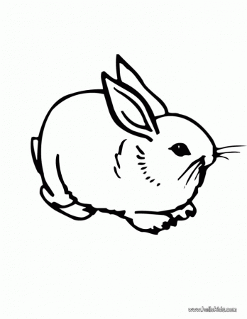 Cute Rabbit Coloring Pages | 99coloring.com