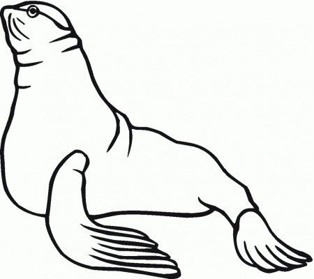 Sea Lion Coloring Page Printable Coloring Worksheets Pinterest 