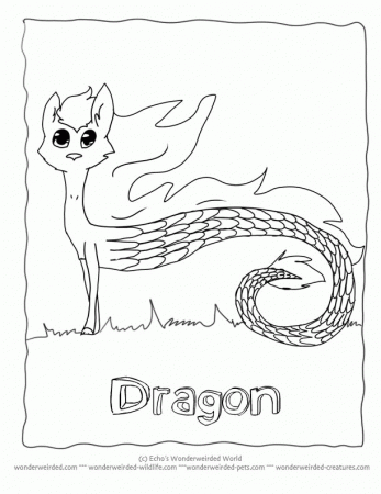 Cartoon Dragon Coloring Sheets, Echo's Free Dragon Coloring Pages Book