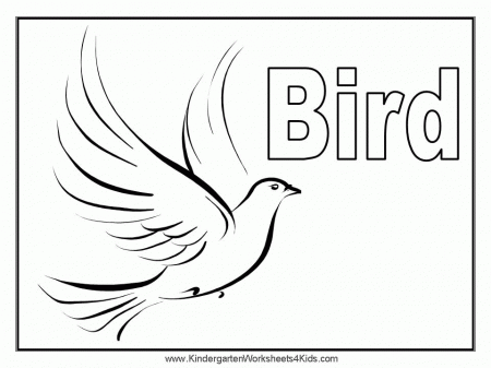 birds coloring pages : Printable Coloring Sheet ~ Anbu Coloring 