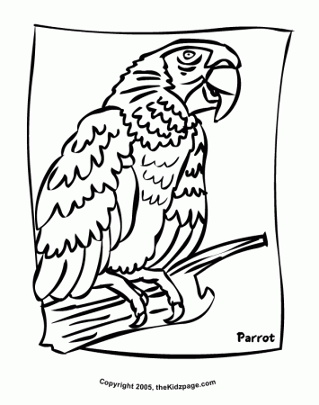 Parrot Free Coloring Pages for Kids - Printable Colouring Sheets